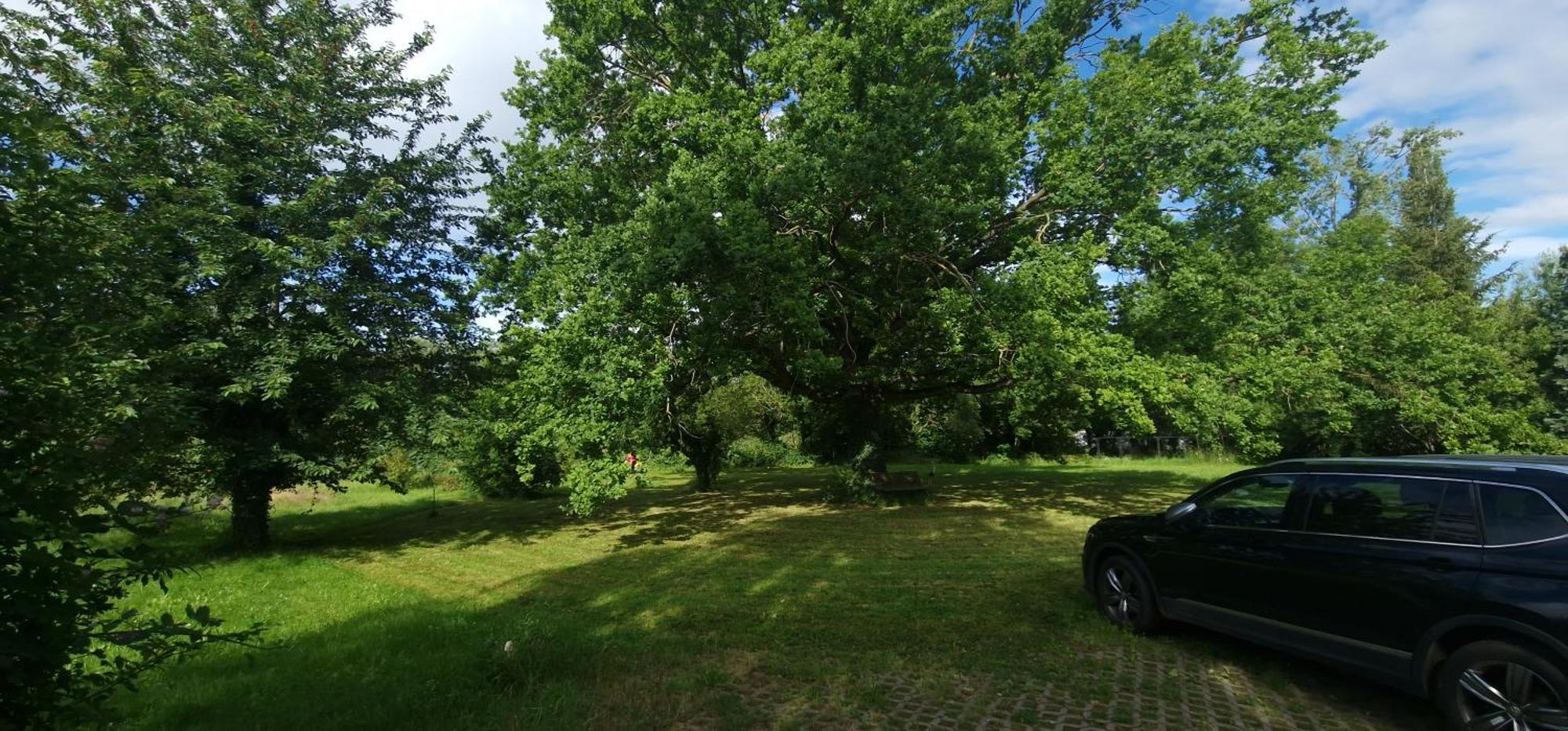 Darkwolf House Apartment Merseburg Exterior photo